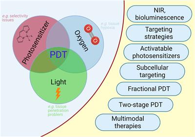 Frontiers  Photodynamic Therapy—Current Limitations and Novel Approaches